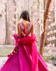 Amaani Mirror Lengha & Choli