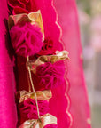 Amaani Mirror Lengha & Choli