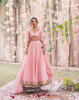 Divya Rose