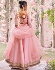 Divya Rose