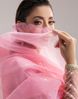 Kiara - Kashmiri Chai Pink & Pistachio Green